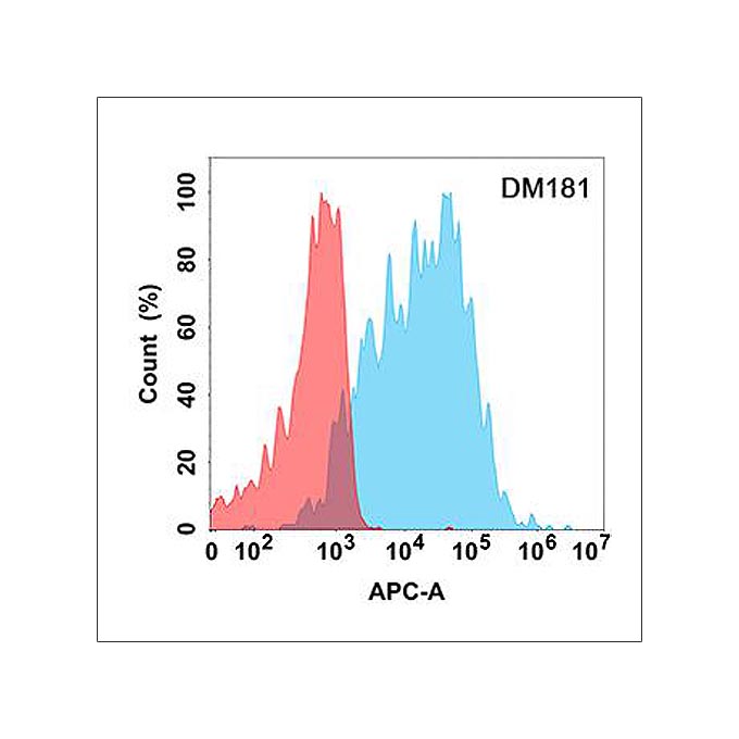 Anti-BAFF antibody(DM181), Rabbit mAb