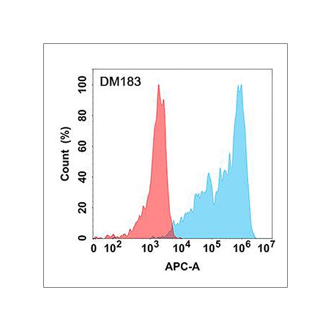 Anti-IL13RA1 antibody(DM183), Rabbit mAb