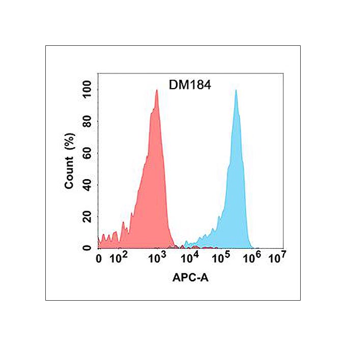 Anti-KLRG1 antibody(DM184), Rabbit mAb