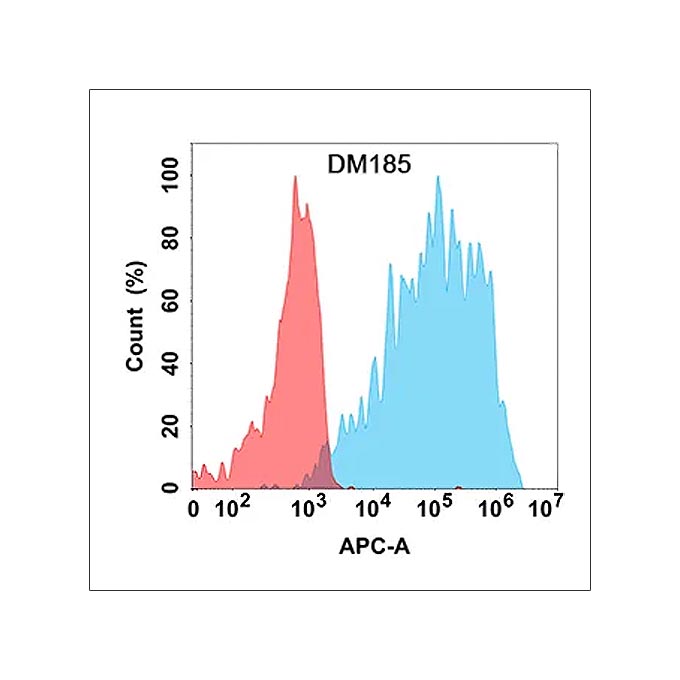 Anti-VEGFR2 antibody(DM185), Rabbit mAb