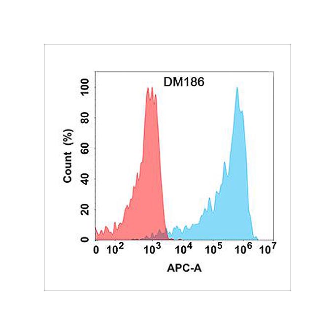 Anti-AMHR2 antibody(DM186), Rabbit mAb