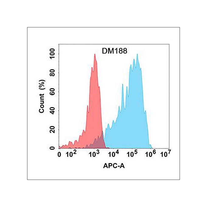 Anti-B7H4 antibody(DM188), Rabbit mAb