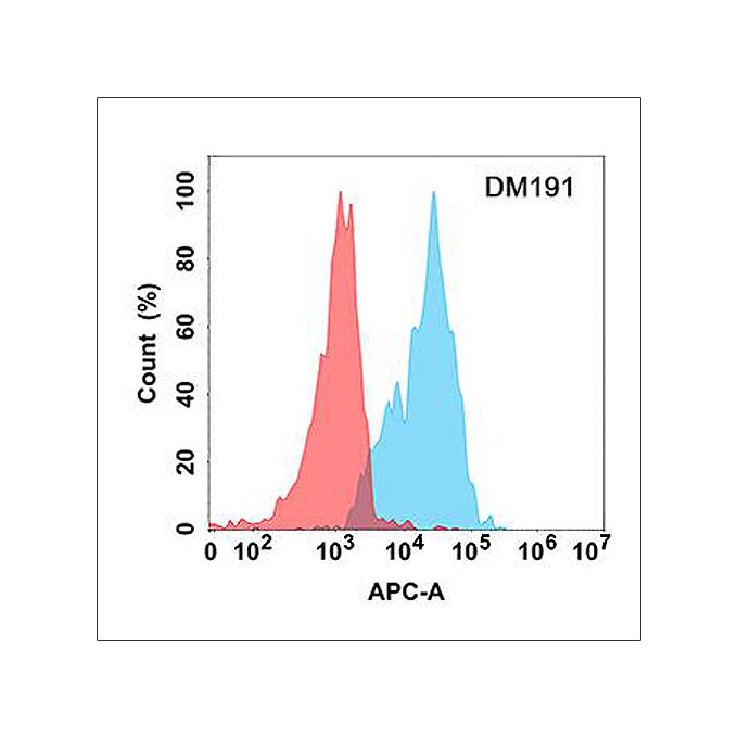 Anti-CD70 antibody(DM191), Rabbit mAb