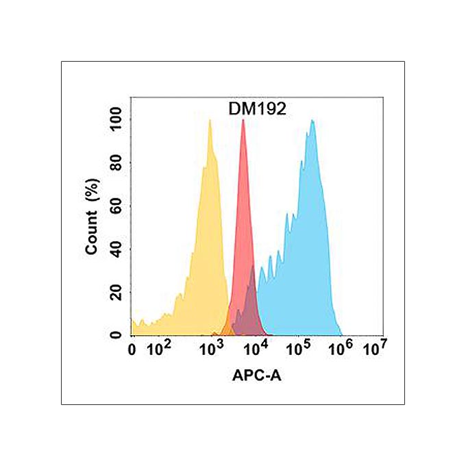 Anti-ADAM9 antibody(DM192), Rabbit mAb