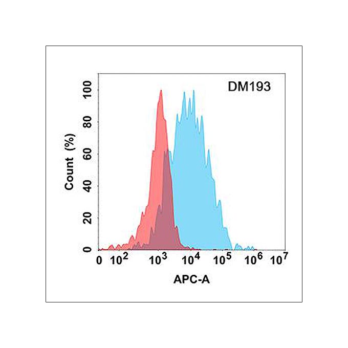 Anti-CD45 antibody(DM193), Rabbit mAb