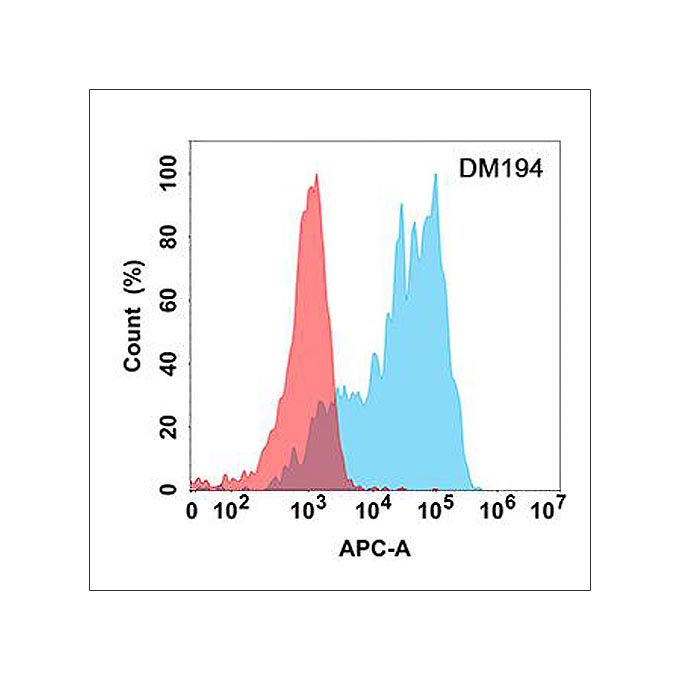 Anti-SCF antibody(DM194), Rabbit mAb