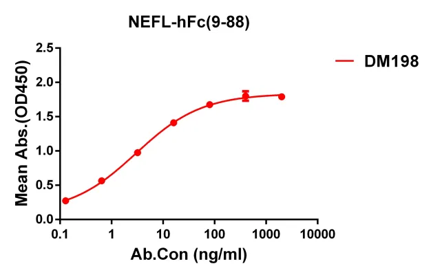 Anti-NEFL(9-88) antibody(DM198), Rabbit mAb