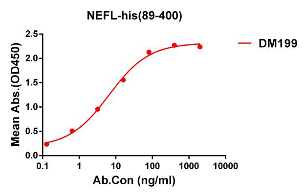 Anti-NEFL(89-400) antibody(DM199), Rabbit mAb