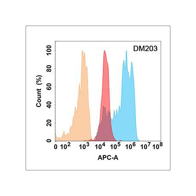 Anti-CD99 antibody(DM203), Rabbit mAb