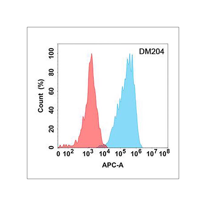 Anti-CD73 antibody(DM204), Rabbit mAb