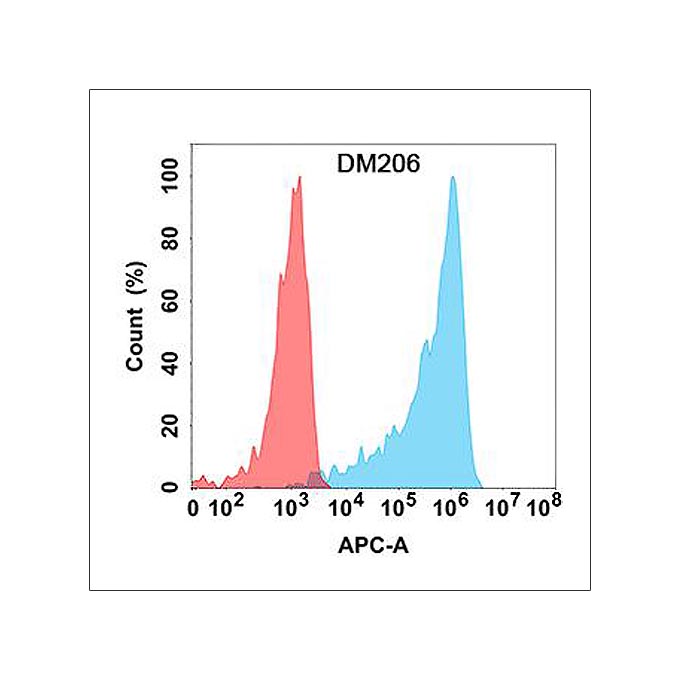 Anti-IL15RA antibody(DM206), Rabbit mAb