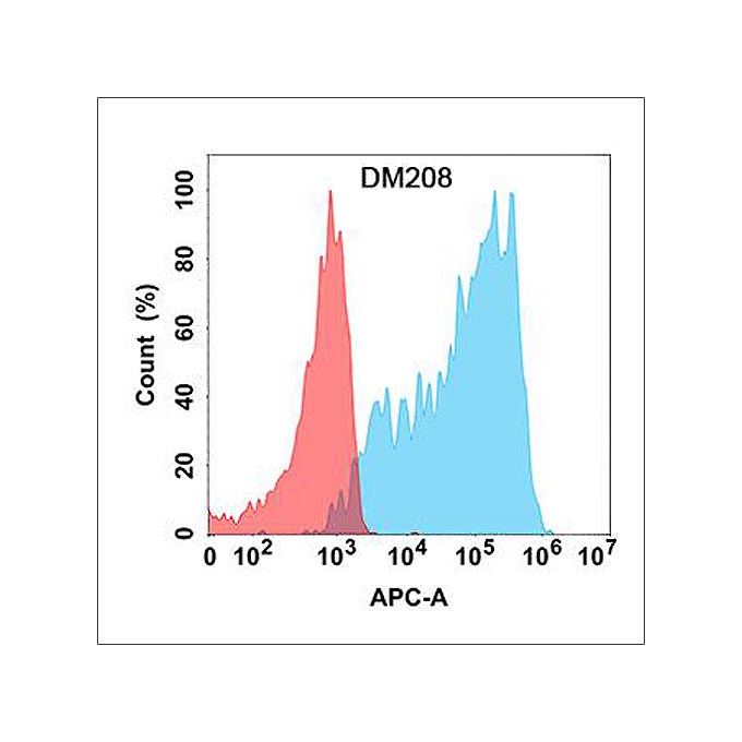 Anti-CXCR3 antibody(DM208), Rabbit mAb