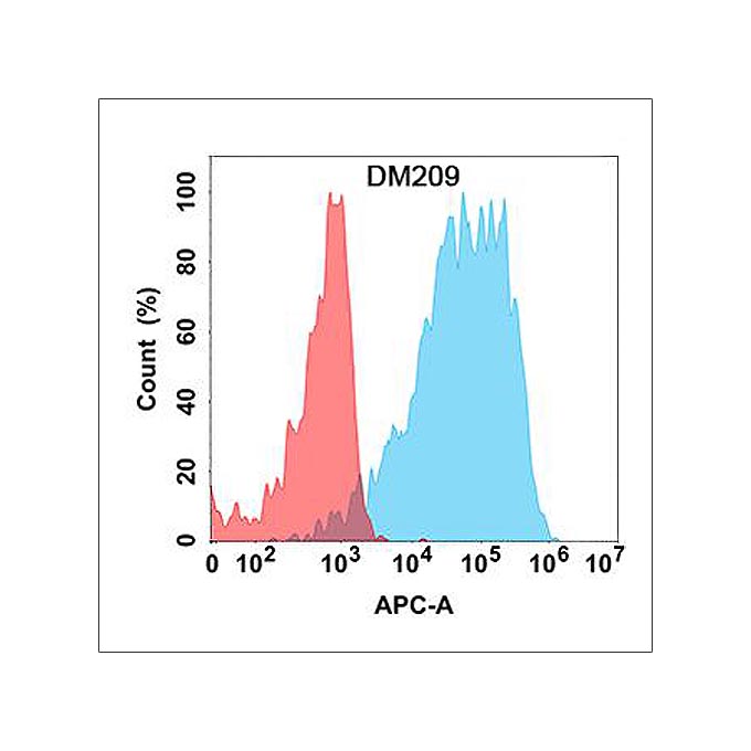 Anti-NRG1 antibody(DM209), Rabbit mAb