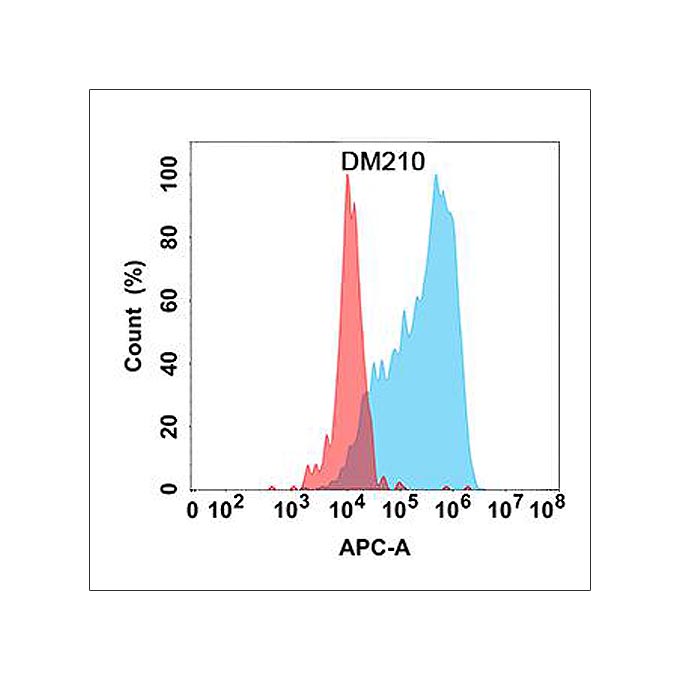 Anti-DKK1 antibody(DM210), Rabbit mAb