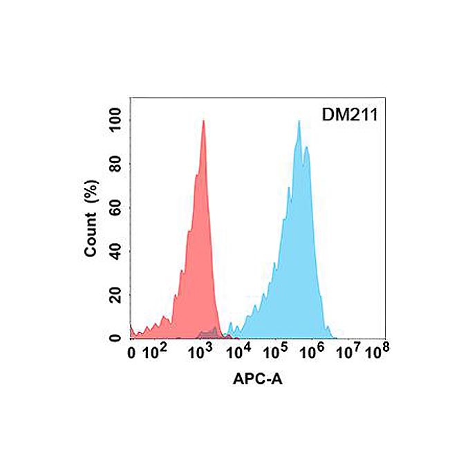 Anti-CD43 antibody(DM211), Rabbit mAb