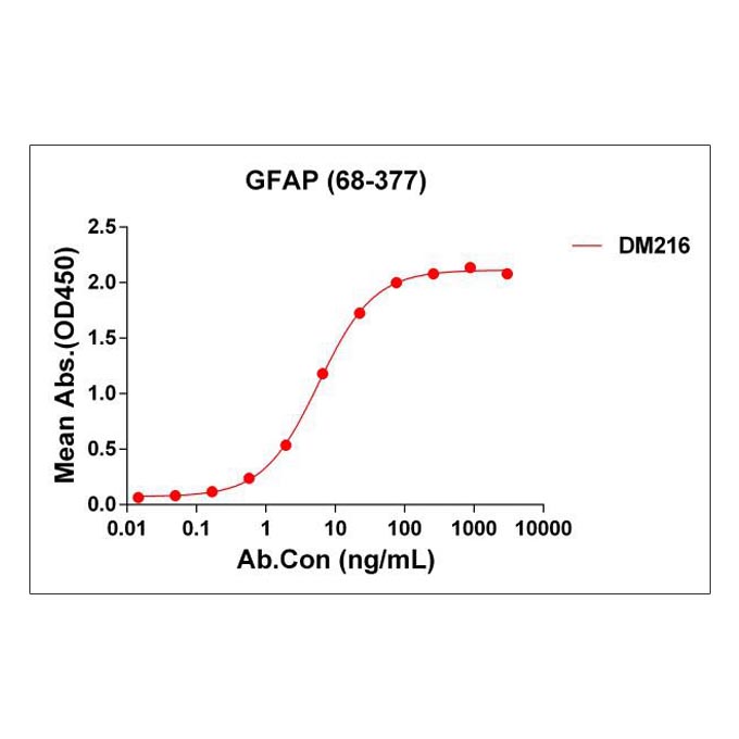 Anti-GFAP(68-377) antibody(DM216), Rabbit mAb