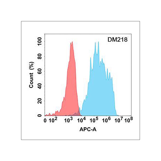 Anti-IL18RA antibody(DM218), Rabbit mAb