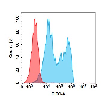 Anti-CD20 (obinutuzumab biosimilar) mAb