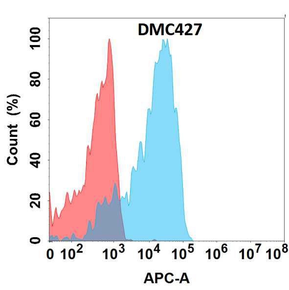 Anti-GP6 antibody(DMC427); IgG1 Chimeric mAb