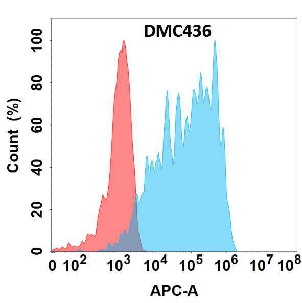 Anti-CD83 antibody(DMC436); IgG1 Chimeric mAb