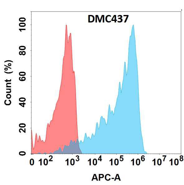 Anti-M-CSF antibody(DMC437); IgG1 Chimeric mAb