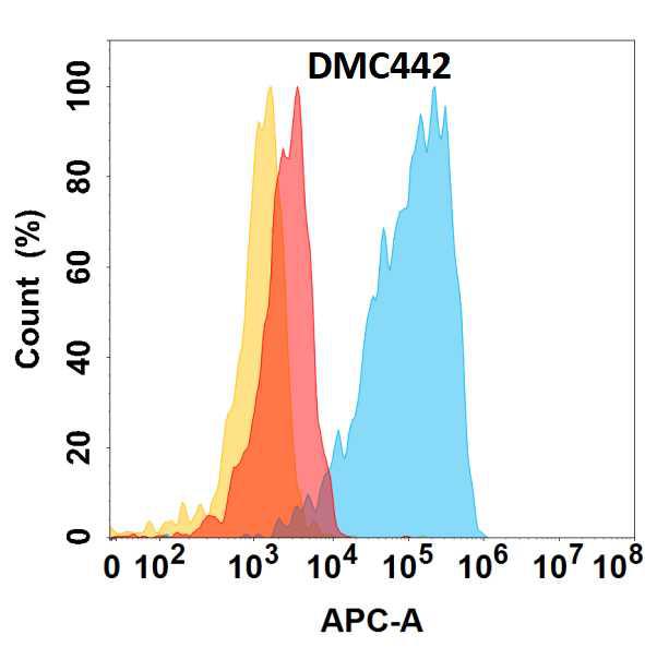 Anti-CHODL antibody(DMC442); IgG1 Chimeric mAb