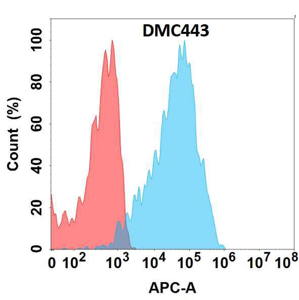 Anti-CXCR7 antibody(DMC443); IgG1 Chimeric mAb