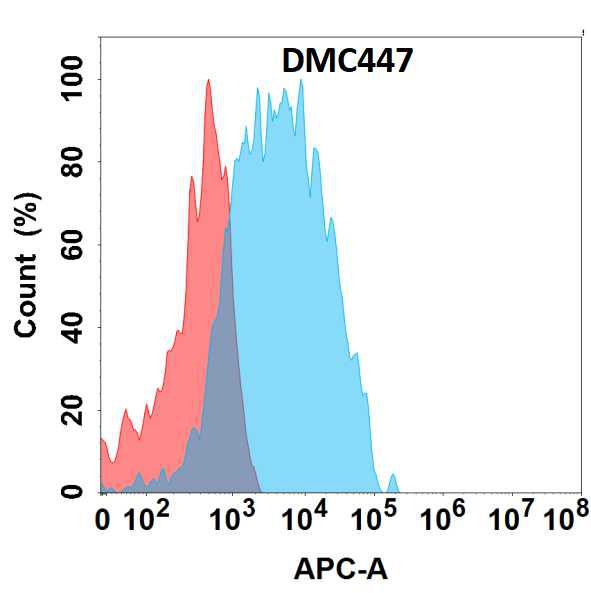 Anti-CCR2 antibody(DMC447); IgG1 Chimeric mAb