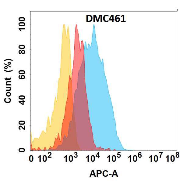 Anti-CLU antibody(DMC461); IgG1 Chimeric mAb