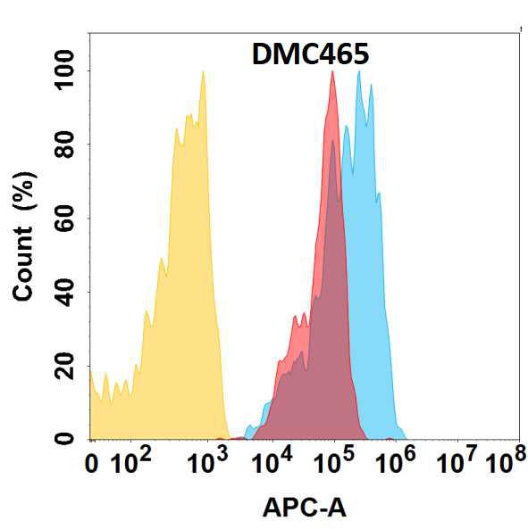 Anti-CCR1 antibody(DMC465); IgG1 Chimeric mAb