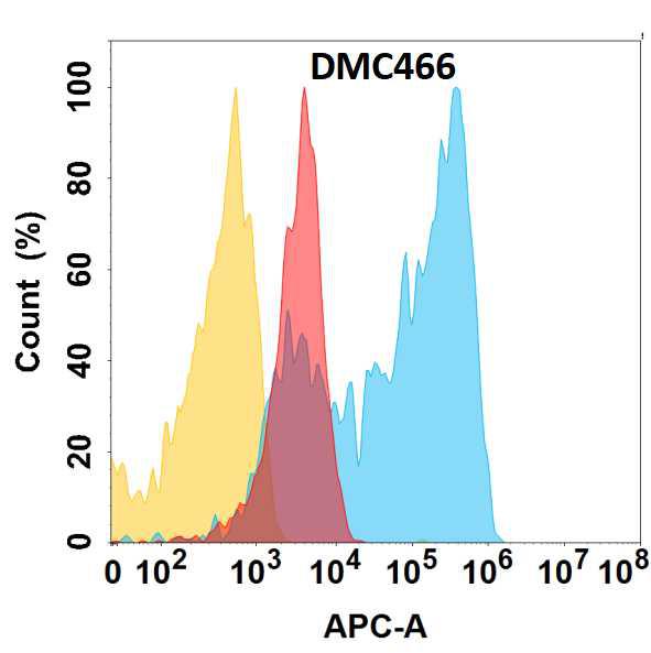 Anti-CSPG4 antibody(DMC466); IgG1 Chimeric mAb