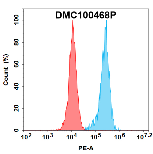 PE-conjugated Anti-CLEC1A antibody(DMC468); IgG1 Chimeric mAb