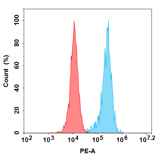 PE-conjugated Anti-CLEC1A antibody(DMC468); IgG1 Chimeric mAb PE-conjugated Anti-CLEC1A antibody(DMC468); IgG1 Chimeric mAb
