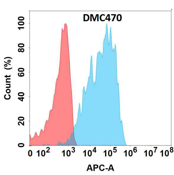 Anti-CXCR1 antibody(DMC470); IgG1 Chimeric mAb