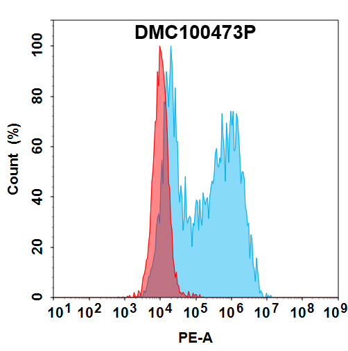PE-conjugated Anti-EMCN antibody(DMC473); IgG1 Chimeric mAb