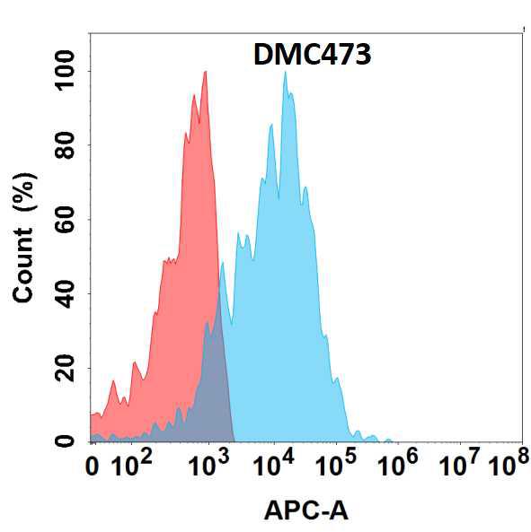 Anti-EMCN antibody(DMC473); IgG1 Chimeric mAb