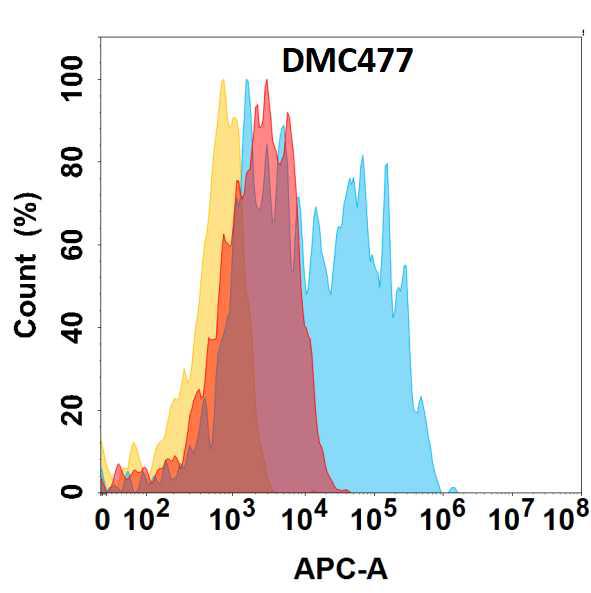 Anti-CCR6 antibody(DMC477); IgG1 Chimeric mAb