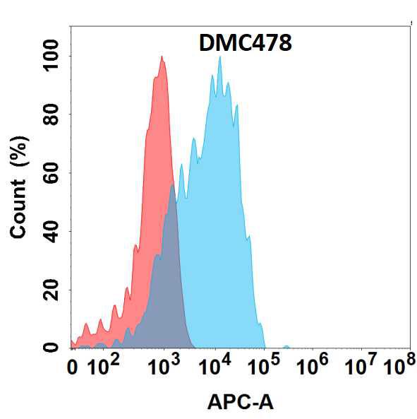 Anti-GPR87 antibody(DMC478); IgG1 Chimeric mAb