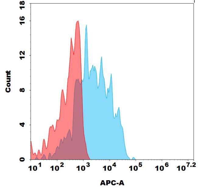 Biotinylated Anti-GPR87 antibody(DMC478); IgG1 Chimeric mAb