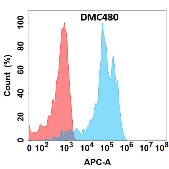 Anti-DDR1 antibody(DMC480); IgG1 Chimeric mAb