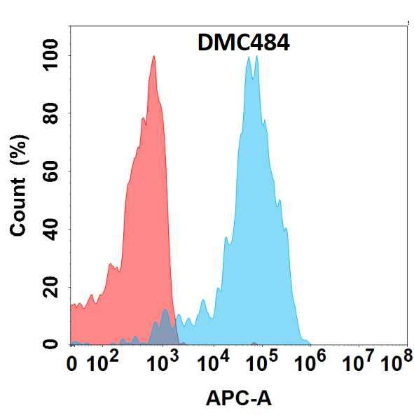 Anti-CDH1 antibody(DMC484); IgG1 Chimeric mAb