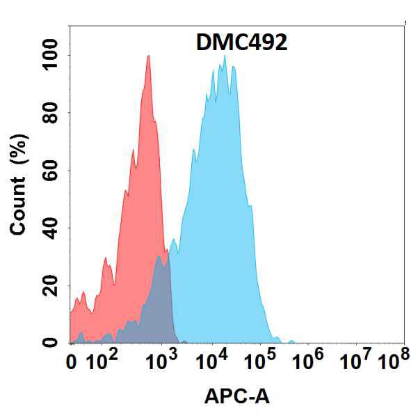 Anti-GPR75 antibody(DMC492); IgG1 Chimeric mAb