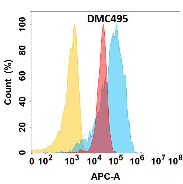 Anti-YAP1 antibody(DMC495); IgG1 Chimeric mAb