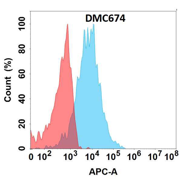 Anti-CD74 antibody(DMC674); IgG1 Chimeric mAb