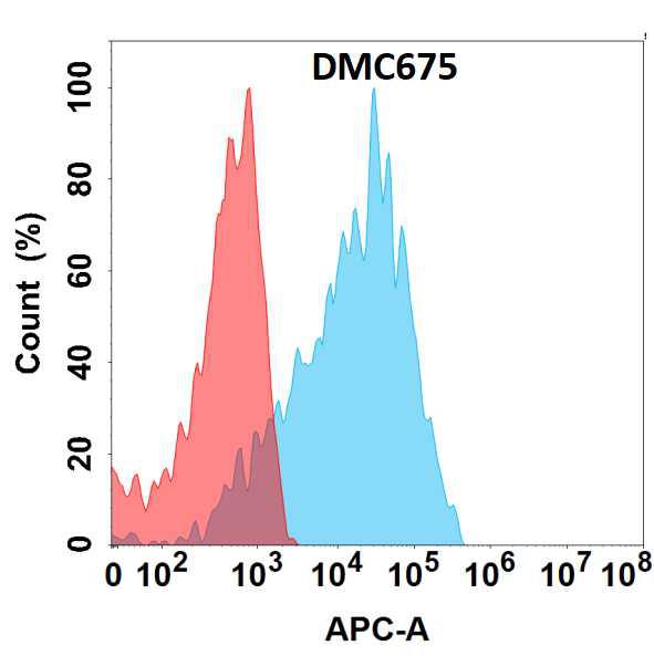 Anti-CDH6 antibody(DMC675); IgG1 Chimeric mAb