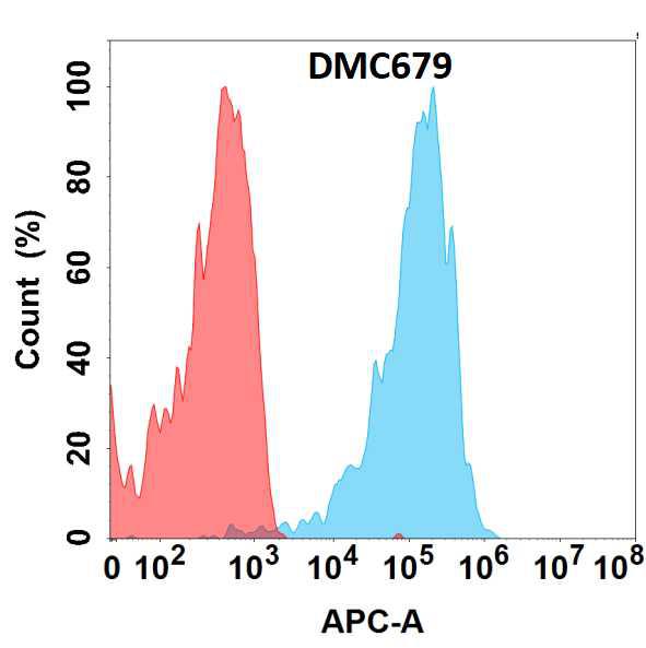 Anti-CXCR5 antibody(DMC679); IgG1 Chimeric mAb