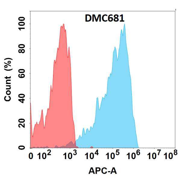 Anti-CXCR2 antibody(DMC681); IgG1 Chimeric mAb