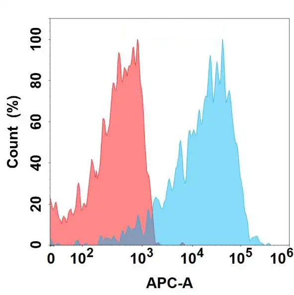 Anti-ENPP3 antibody(DMC720); IgG1 Chimeric mAb