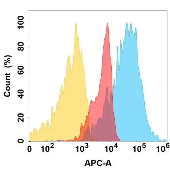 Anti-IGF-1R antibody(DMC721); IgG1 Chimeric mAb