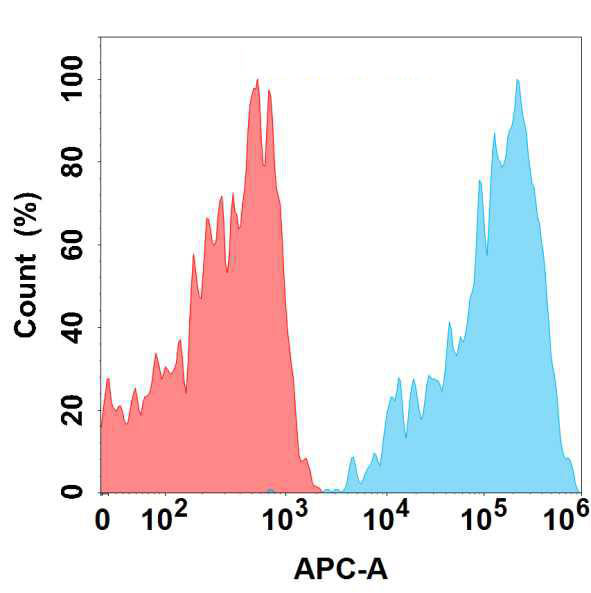 Anti-CD6 antibody(1G6); IgG1 Chimeric mAb